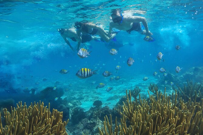 Cozumel Luxury Sailing & Snorkeling with Lunch and Open Bar Onboard - Who will enjoy this sailing day most
