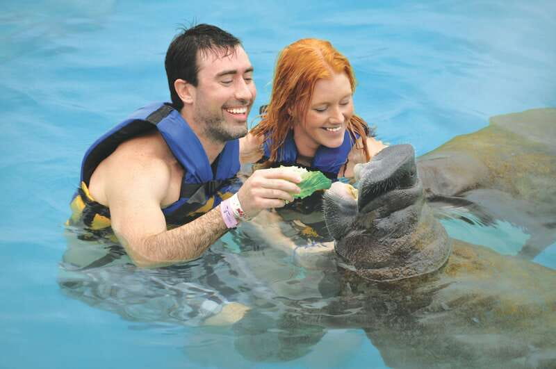 Cozumel: Manatee Encounter, Chankanaab Admission and Buffet - Chankanaab Park gives the day more value