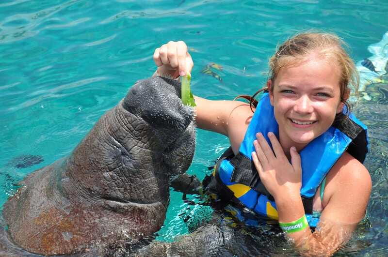 Cozumel: Manatee Encounter, Chankanaab Admission and Buffet - Who should book this experience?