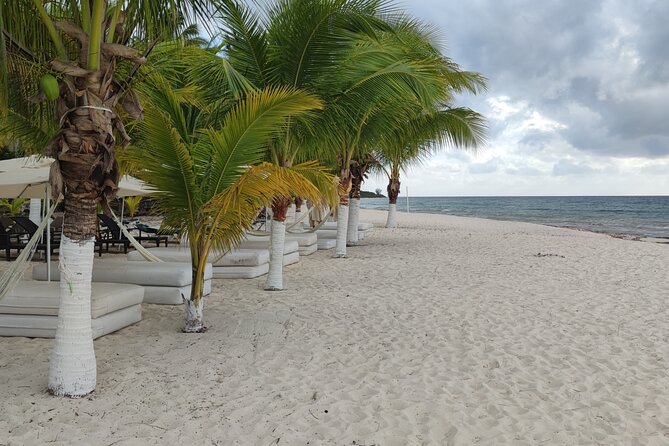 Cozumel Mayan Ruins and Beach Break - What the private vehicle adds to the day