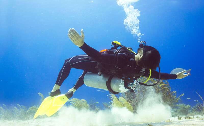 Cozumel: One Tank Scuba Dive and Full Chankanaab Park Access - Key points to know before you book