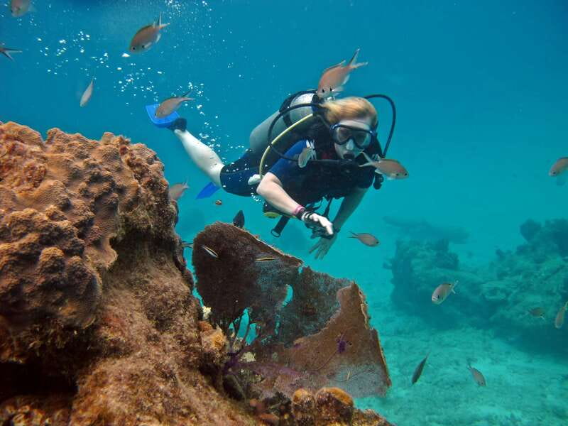 Cozumel: One Tank Scuba Dive and Full Chankanaab Park Access - Learning the equipment before entering the water