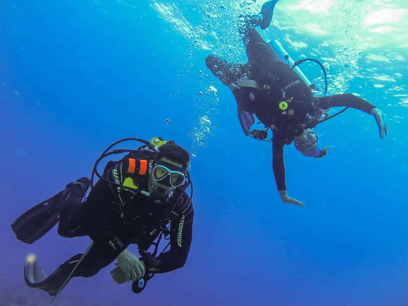 Cozumel: One Tank Scuba Dive and Full Chankanaab Park Access - Staying at Chankanaab after the one-tank session
