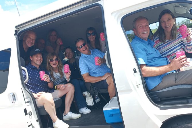 Cozumel Private Airport Transfer - What the bilingual driver adds
