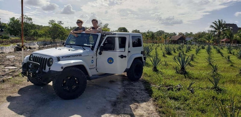 Cozumel Private Jeep Tour with Lunch and Snorkeling - Add-On Choices: Punta Sur, San Gervacio, and More