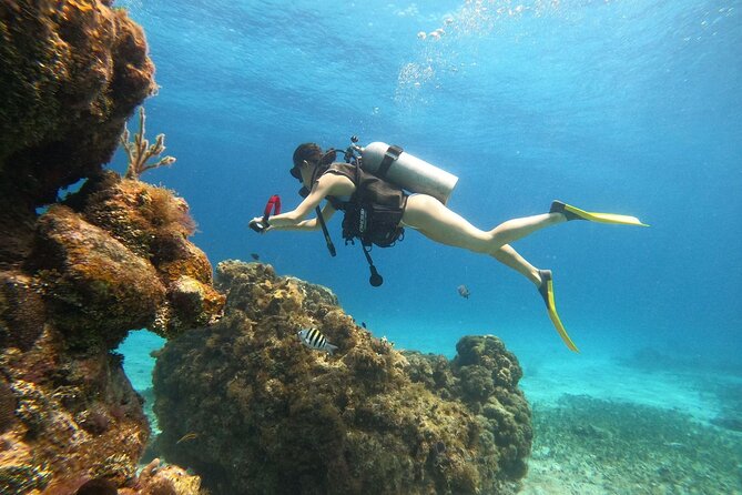 Cozumel Scuba Dive at Chankanaab - Starting at Chankanaab Adventure Beach Park