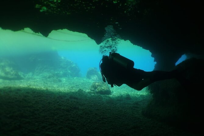 Cozumel Scuba Dive at Chankanaab - Caves, statues, and Chankanaab’s underwater art