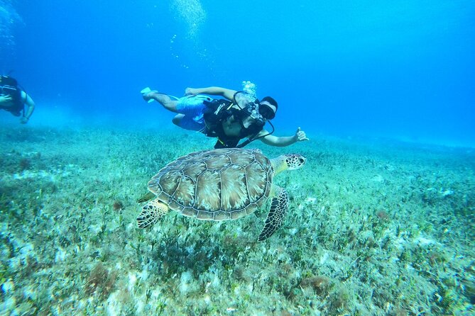 Cozumel Scuba Dive at Chankanaab - What happens after the tank is empty