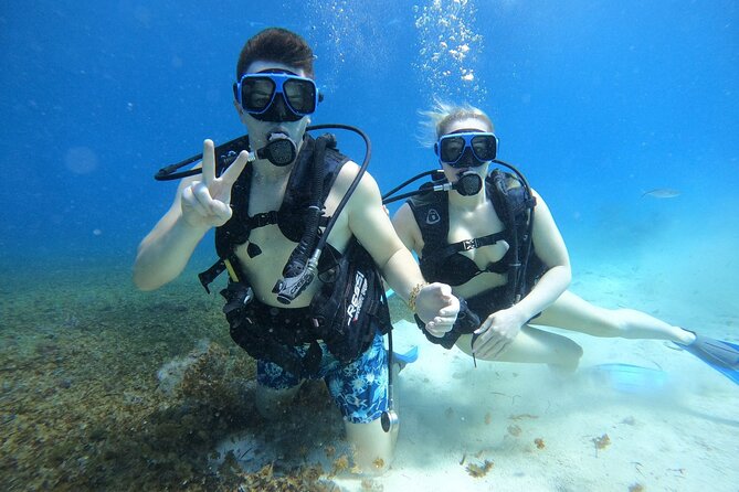 Cozumel Scuba Dive at Chankanaab - Is $85 a fair price?