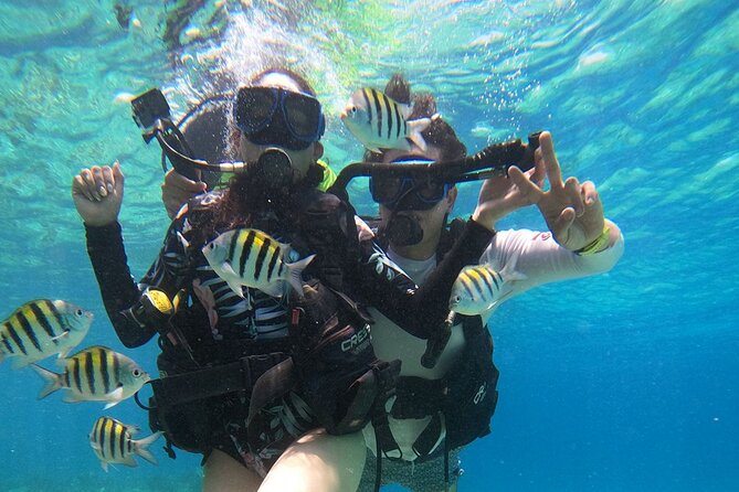 Cozumel Scuba Dive at Chankanaab - Who will get the most from this experience?