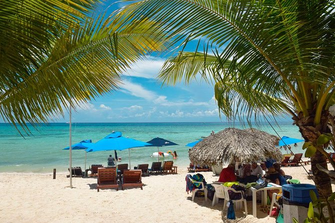 Cozumel Shore Excursion: 5-Hour Sightseeing Tour with Private Driver - San Gervasio and the cost of seeing Maya ruins