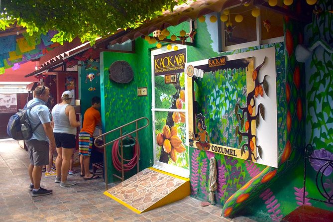 Cozumel Shore Excursion: 5-Hour Sightseeing Tour with Private Driver - Ending at Playa Palancar