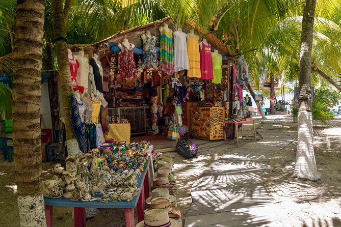 Cozumel Shore Excursion: 5-Hour Sightseeing Tour with Private Driver - Vehicle comfort, guides, and pickup