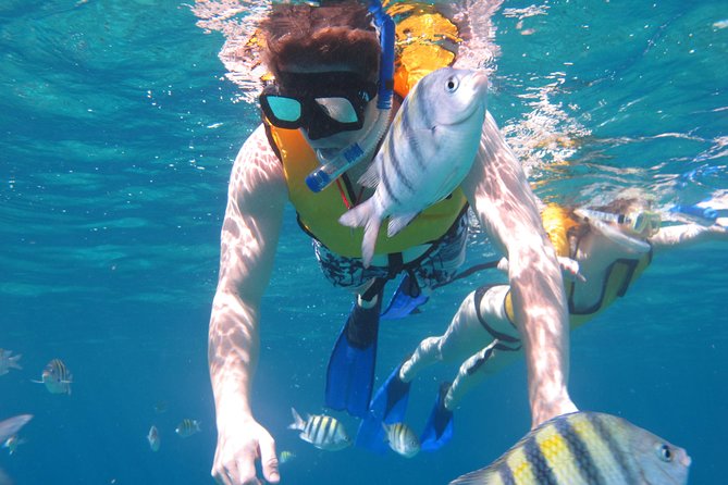 Cozumel Shore Excursion: Playa Uvas Private Beach Pass - Lunch and four hours of drinks