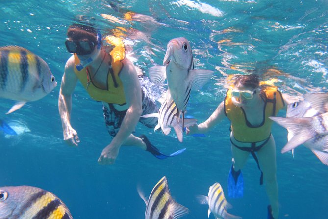Cozumel Shore Excursion: Playa Uvas Private Beach Pass - Who will enjoy Playa Uvas most?