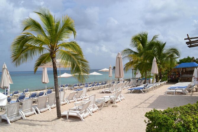 Cozumel Shore Excursion: Playa Uvas Private Beach Pass - Snorkeling with Angel or Roberto