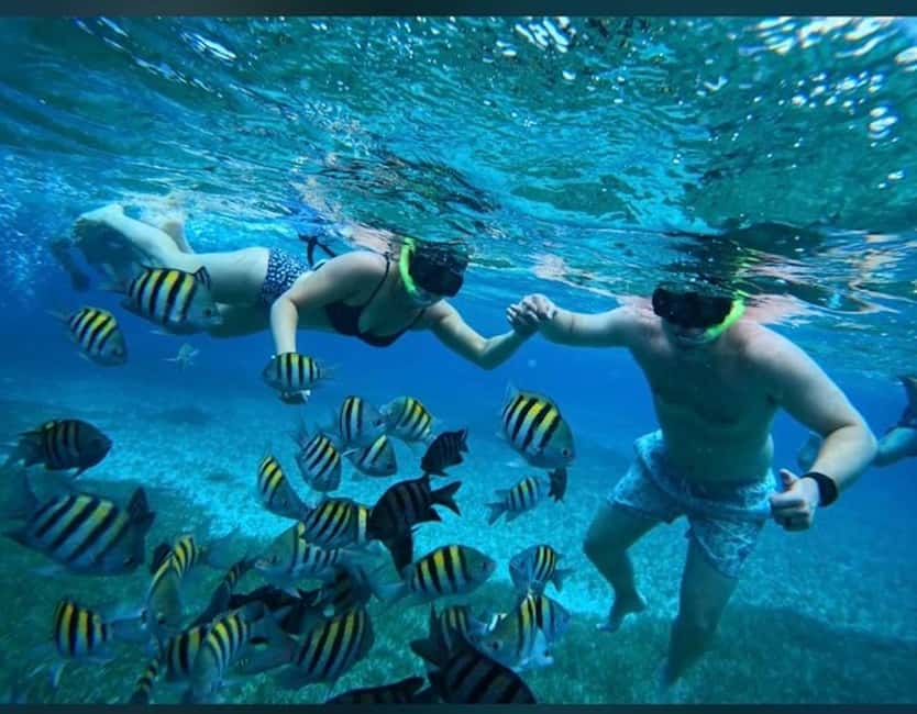 Cozumel: snorkeling on reefs + visit to "El Cielo" - Key points to know before you book