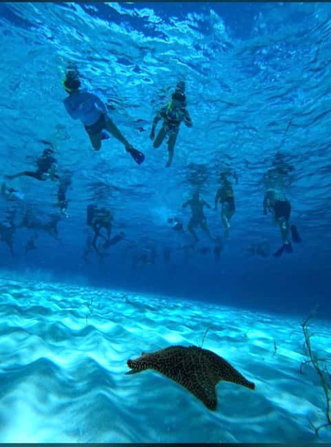 Cozumel: snorkeling on reefs + visit to "El Cielo" - Three water stops, three different moods