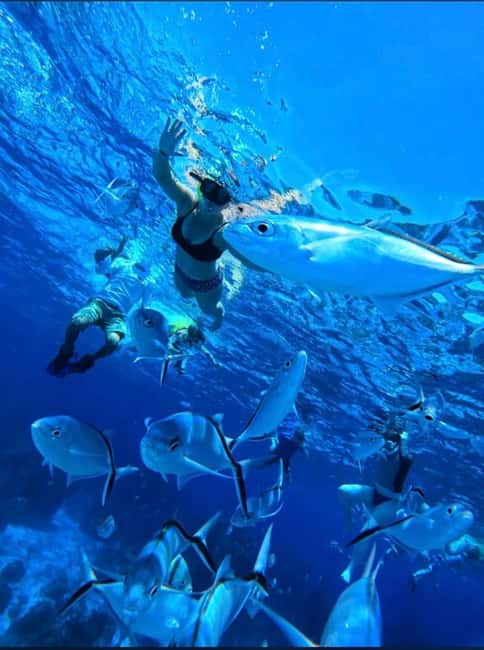 Cozumel: snorkeling on reefs + visit to "El Cielo" - Palancar Reef: coral formations and moving fish