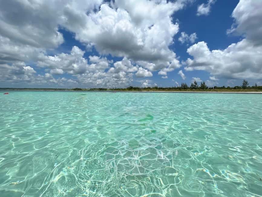 Cozumel: snorkeling on reefs + visit to "El Cielo" - Columbia Reef: a second look below the surface