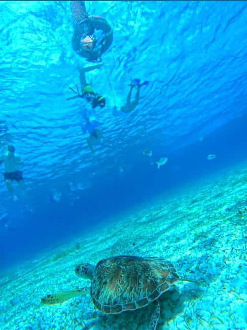 Cozumel: snorkeling on reefs + visit to "El Cielo" - Meeting Paloma at the Cozumel fiscal pier