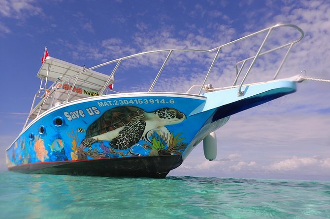 Cozumel Snorkeling Tour at Palancar & Colombia Reefs and El Cielo - Three Cozumel stops, three different kinds of snorkeling