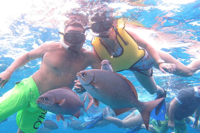 Cozumel Snorkeling Tour at Palancar & Colombia Reefs and El Cielo - The marina location can shape your afternoon