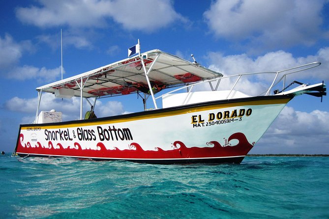 Cozumel Snorkeling Tour at Palancar & Colombia Reefs and El Cielo - What to wear and what to pack