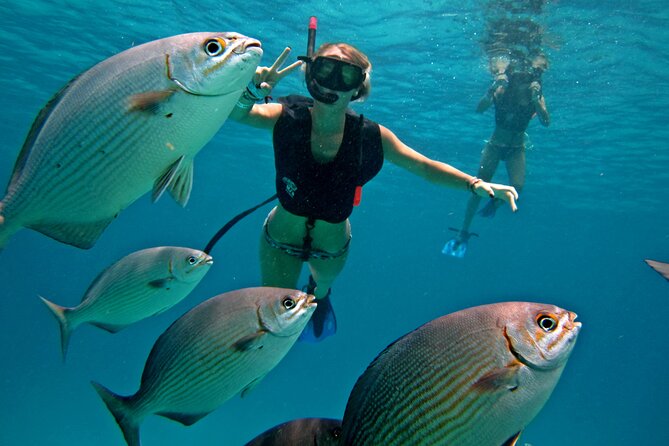 Cozumel Snorkeling Tour: Palancar, Columbia and El Cielo Reefs - Three Cozumel reefs and one famous sandbar