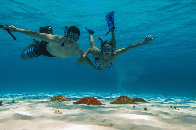 Cozumel Snorkeling Tour: Palancar, Columbia and El Cielo Reefs - What happens from the marina onward