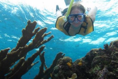 Cozumel Snorkeling Tour: Palancar, Columbia and El Cielo Reefs