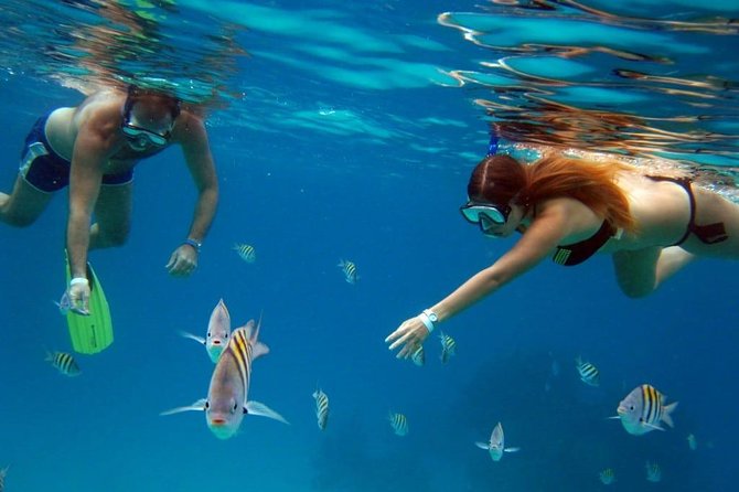 Cozumel Snorkeling Tour: Palancar, Columbia and El Cielo Reefs - El Cielo is about shallow water and starfish