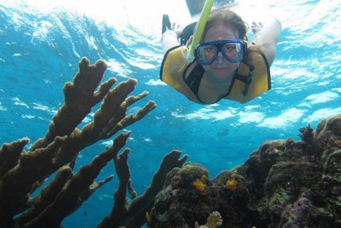 Cozumel Snorkeling Tour: Palancar, Columbia and El Cielo Reefs - Palancar Reef brings the coral scenery