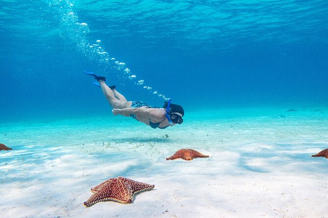 Cozumel Starfish and Tropical Reef Snorkeling by Powerboat with Lunch - What Lunch and Snacks Add to the Outing