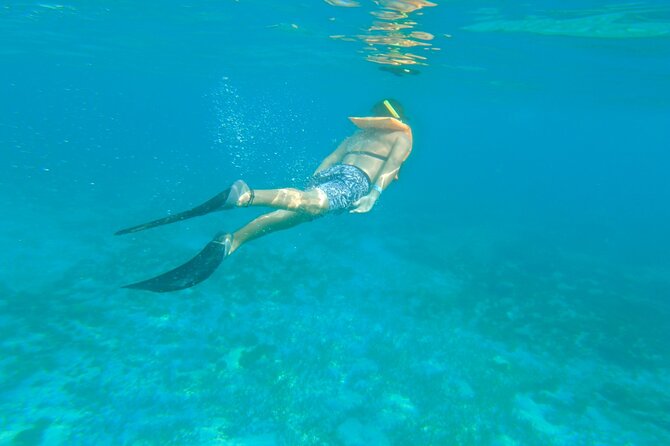 Dancer Cruise Isla Mujeres Snorkel Food and Drinks Included - Who should book this Cancun boat trip?