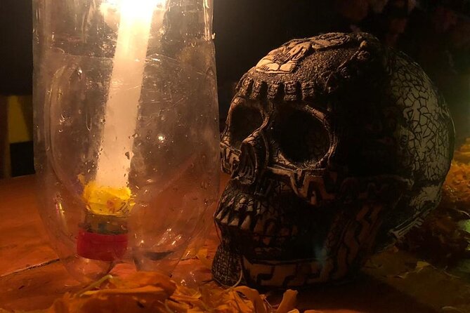 Day of the Dead Tour in Mexico City - Xochimilco by trajinera, mariachi, and canal traffic