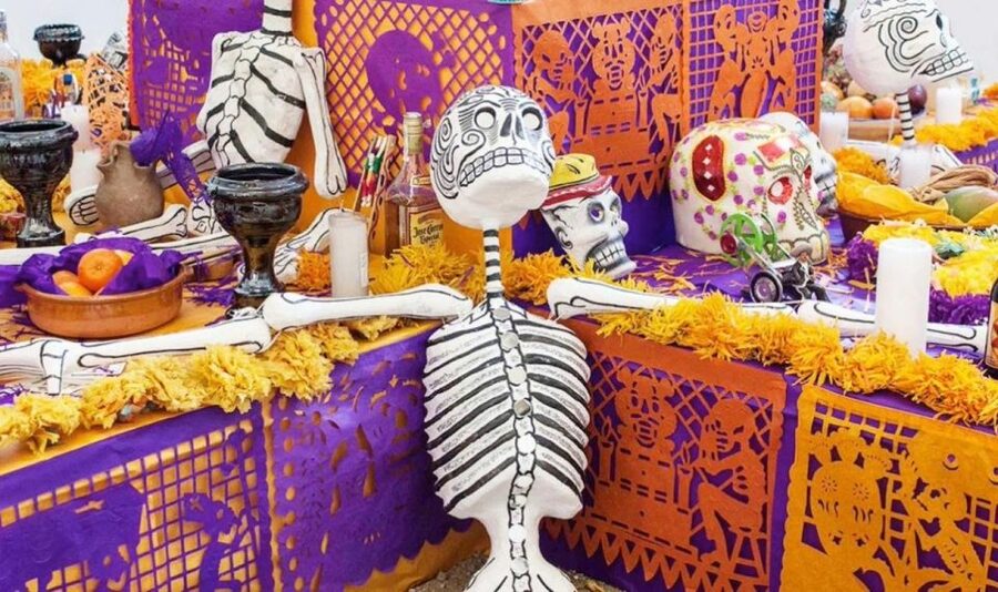 Day of the Dead Tour in San Andres Míxquic From Mexico City - Who will get the most from this tour