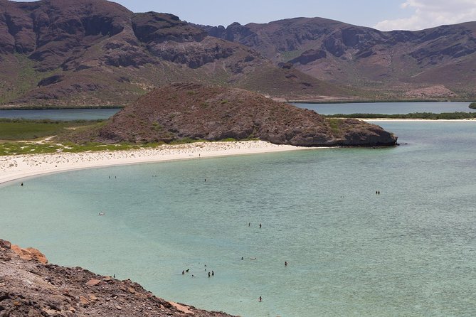 Day Trip to La Paz & Balandra Beach from Cabo San Lucas - What the $130 price really covers