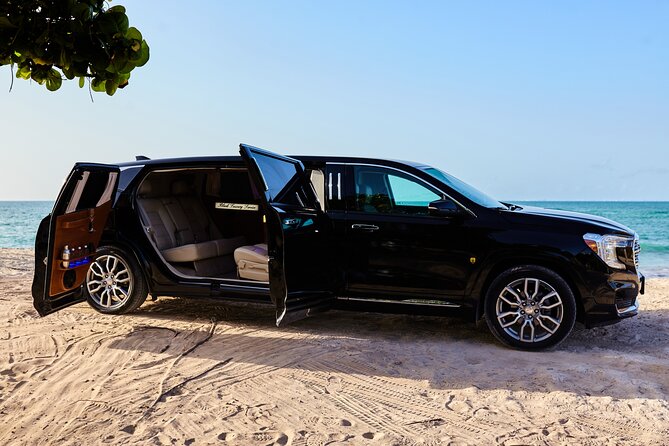 Deluxe GMC Limousine from CUN Airport to Playa Mujeres - Who will like this transfer most?