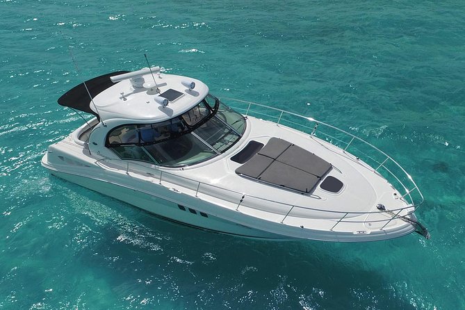 Deluxe Private Boats - 40 ft Sea Ray - Waist-deep water in the natural reserve
