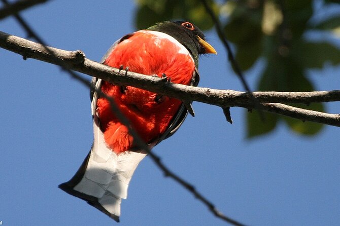 Desembocada and Ameca River Bird Paradise (Wetland and Tropical birds in PV) - Playa Boca de Tomates and the coastal change of pace