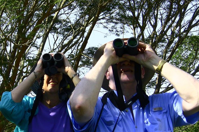Desembocada and Ameca River Bird Paradise (Wetland and Tropical birds in PV) - Walking, weather, and the pace