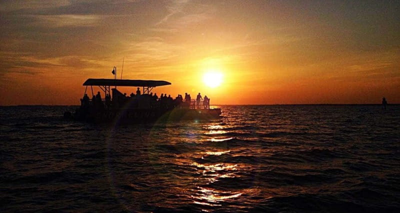 Destin: Dolphin Watching Cruise - Key points to know before boarding