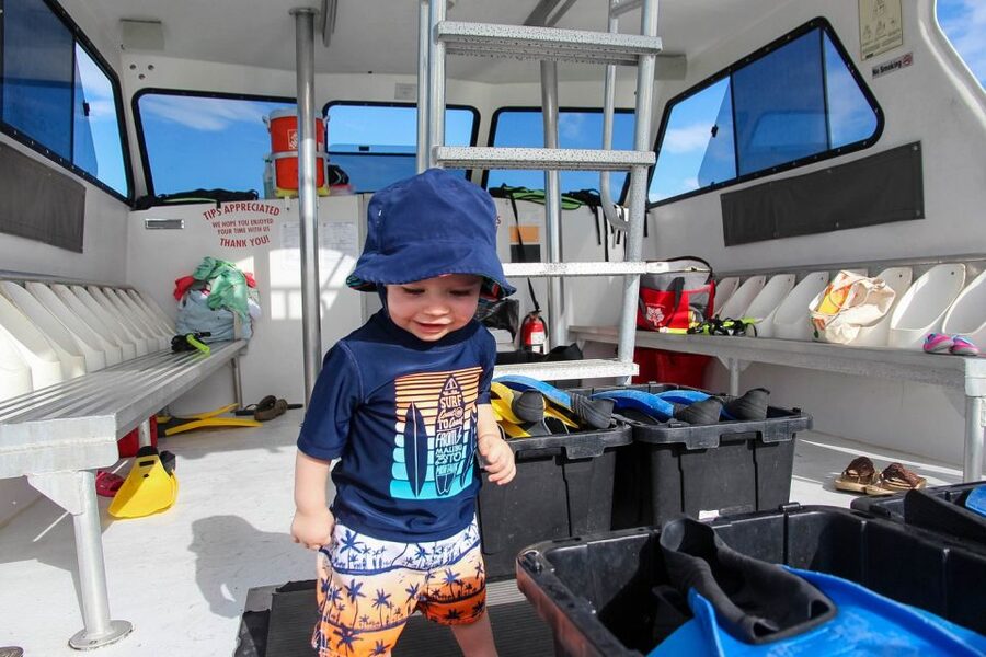 Destin: Dolphin Watching Cruise - Searching for dolphins in open water