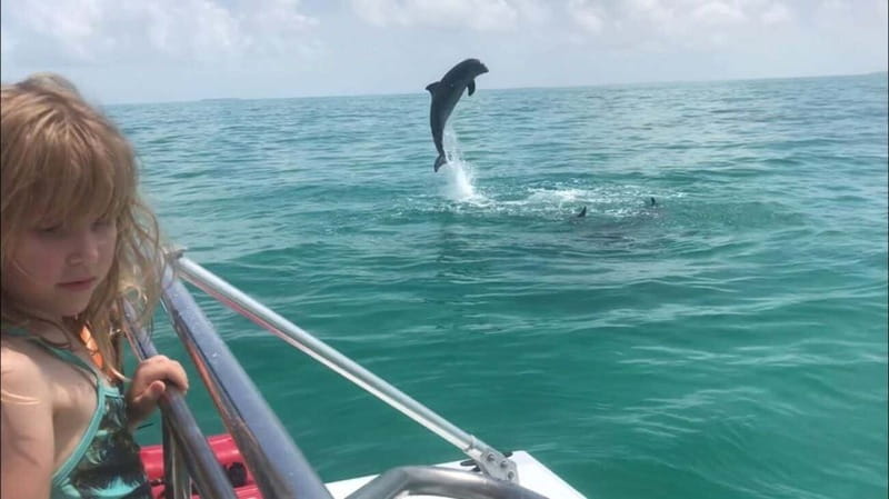 Destin: Dolphin Watching Cruise - How the crew shapes the experience