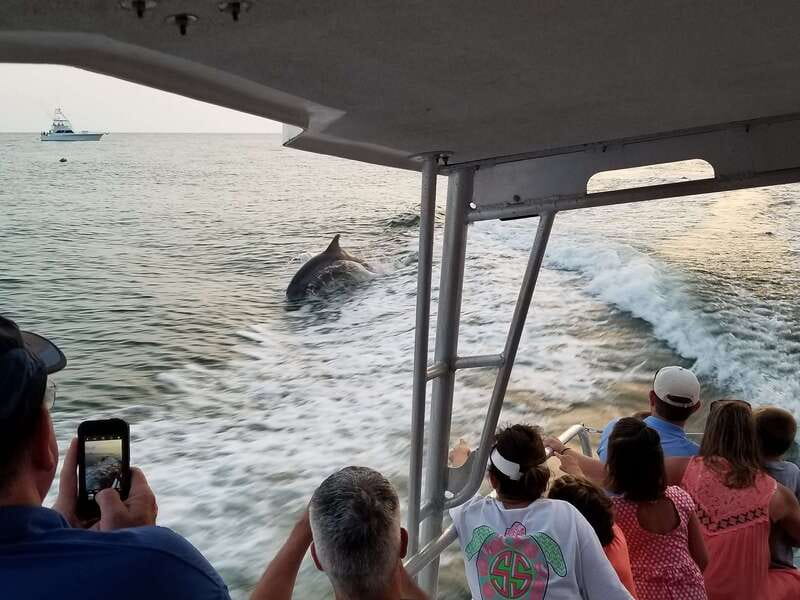 Destin: Dolphin Watching Cruise - Is $30 a fair price for 90 minutes?