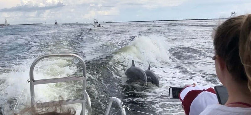 Destin: Dolphin Watching Cruise - Who should book this cruise?
