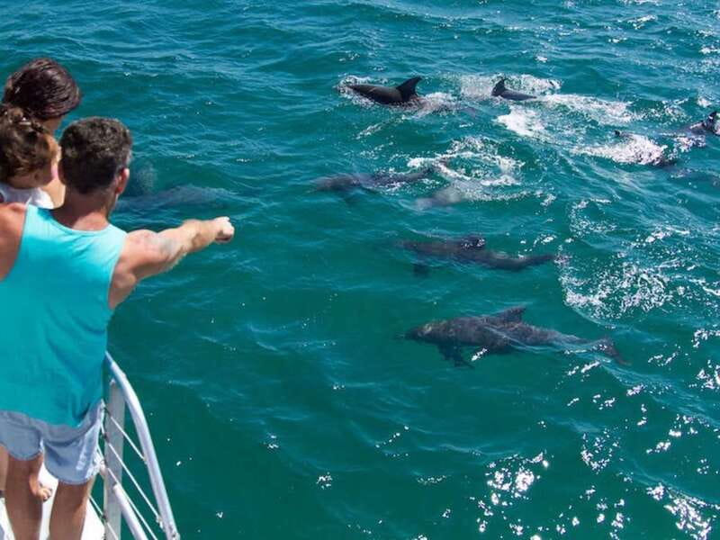 Destin: Dolphin Watching Cruise - A 45-foot boat with room to move