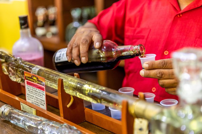 Dinner Cruise Tour in Cabo San Lucas with Tequila Tasting - Boarding the catamaran for El Arco