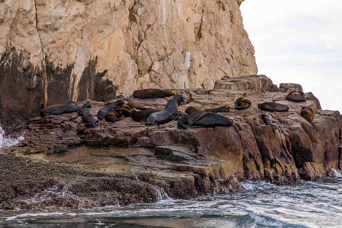 Dinner Cruise Tour in Cabo San Lucas with Tequila Tasting - Sunset views with a party soundtrack